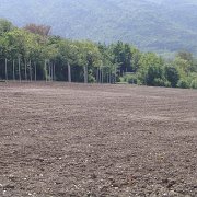 bonifiche agrarie (6)